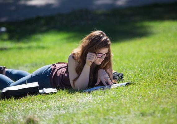 Request an online tutor