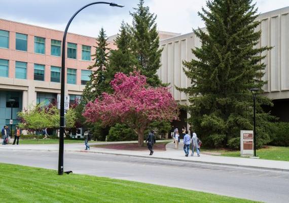 Summer on Campus