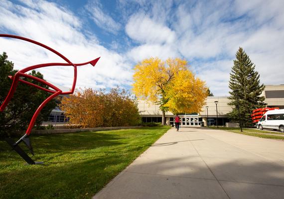 Fall on Campus