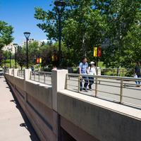 Campus Life