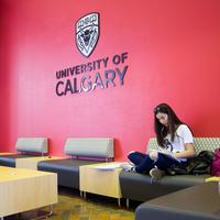 Student Studying