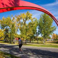 Fall on Campus