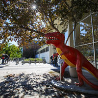 Campus Mascot Rex