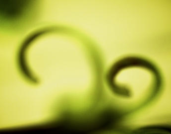 Online Instruction Tips